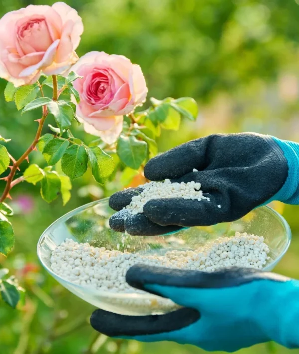 Тор за растения Granustar®с действие 3м - 1кг