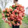 Лале / Tulipa 'Copper Image'